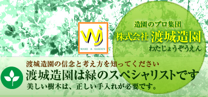 造園のプロ集団 渡城造園は緑のスペシャリストです。