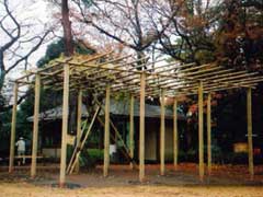 藤棚の整備