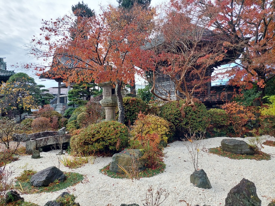 夏から今まで第一章日本庭園編❗山梨県造園