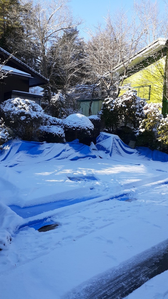 現地は降雪⛄-12℃⛄❄️❄️❄️ 現地は降雪⛄-12℃⛄❄️❄️❄️