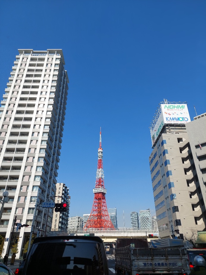 東京都～山梨県　わたじょう造園❗只今❗高木剪定実施中❗　大きな木お困りの方、お任せ下さい。#東京都庭木剪定　#神奈川県庭木剪定　#山梨県庭木剪定　#静岡県庭木剪定　#千葉県庭木剪定