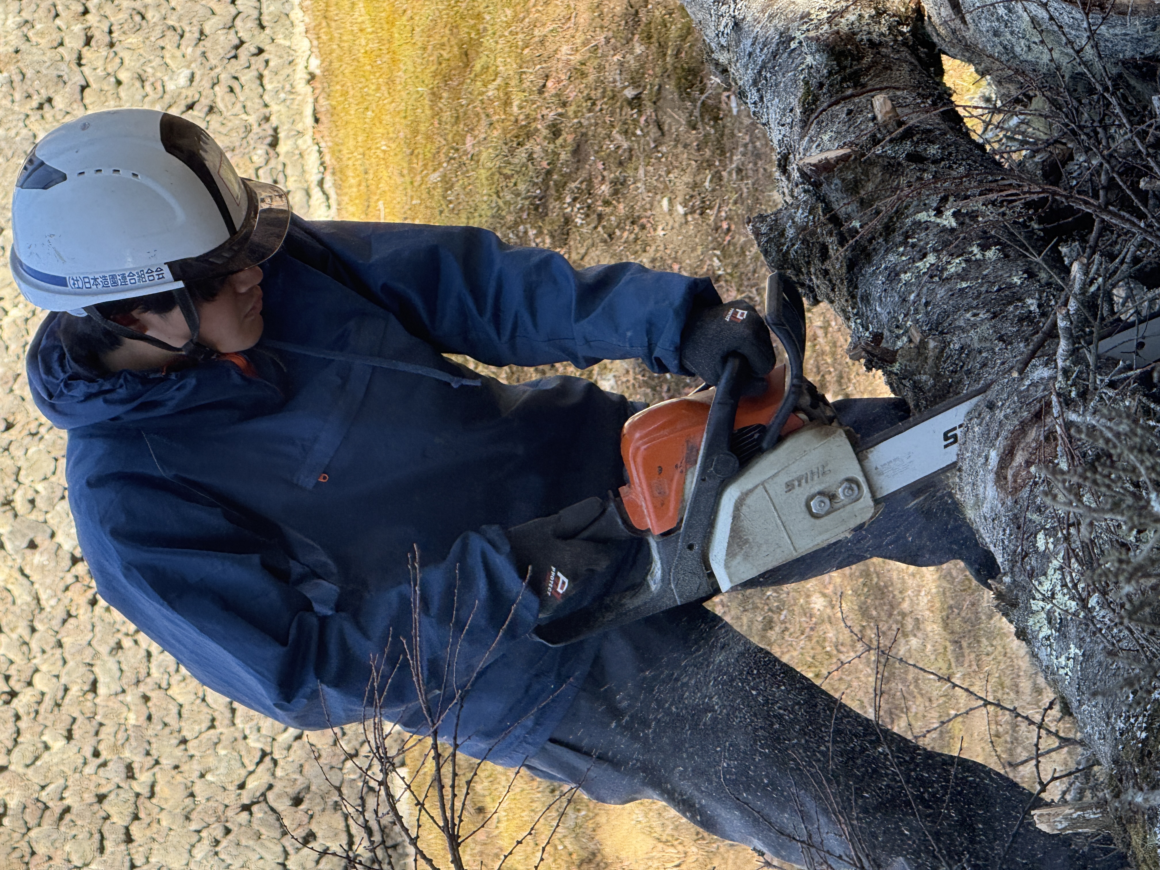 2026 冬場　ダイジェスト　楽しく頑張ってます(^^)v